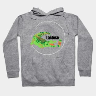 Lactose Hoodie